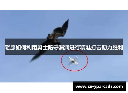 老鹰如何利用勇士防守漏洞进行精准打击助力胜利